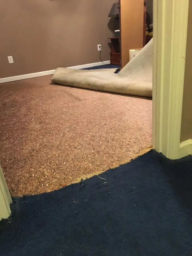 Carpet pad removal revealing water damage during Water Mitigation Services in Jupiter Farms
