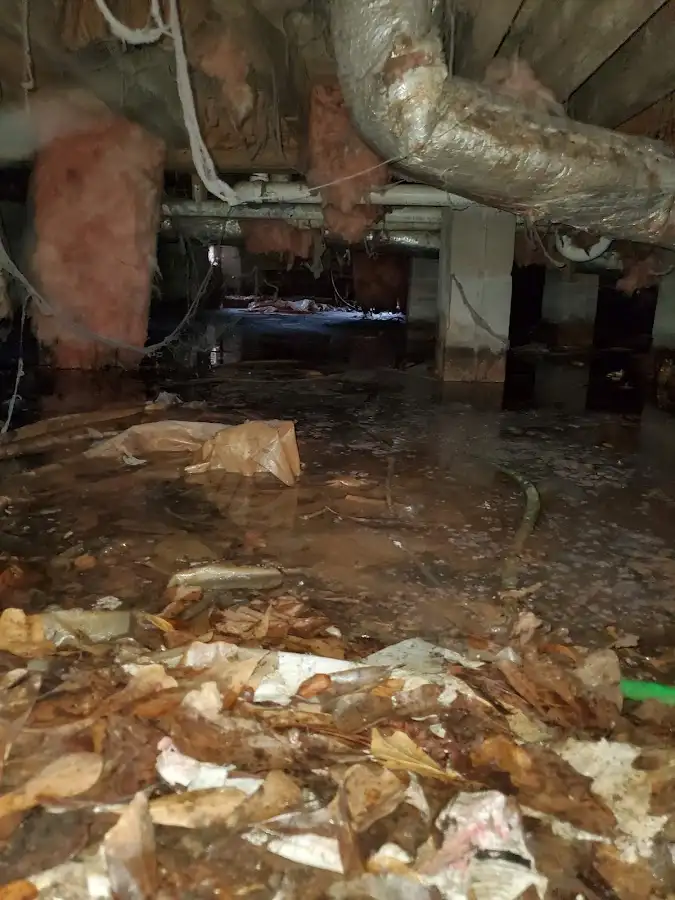 Crawl space flood assessment for Leak Detection & Repair in Jupiter Farms